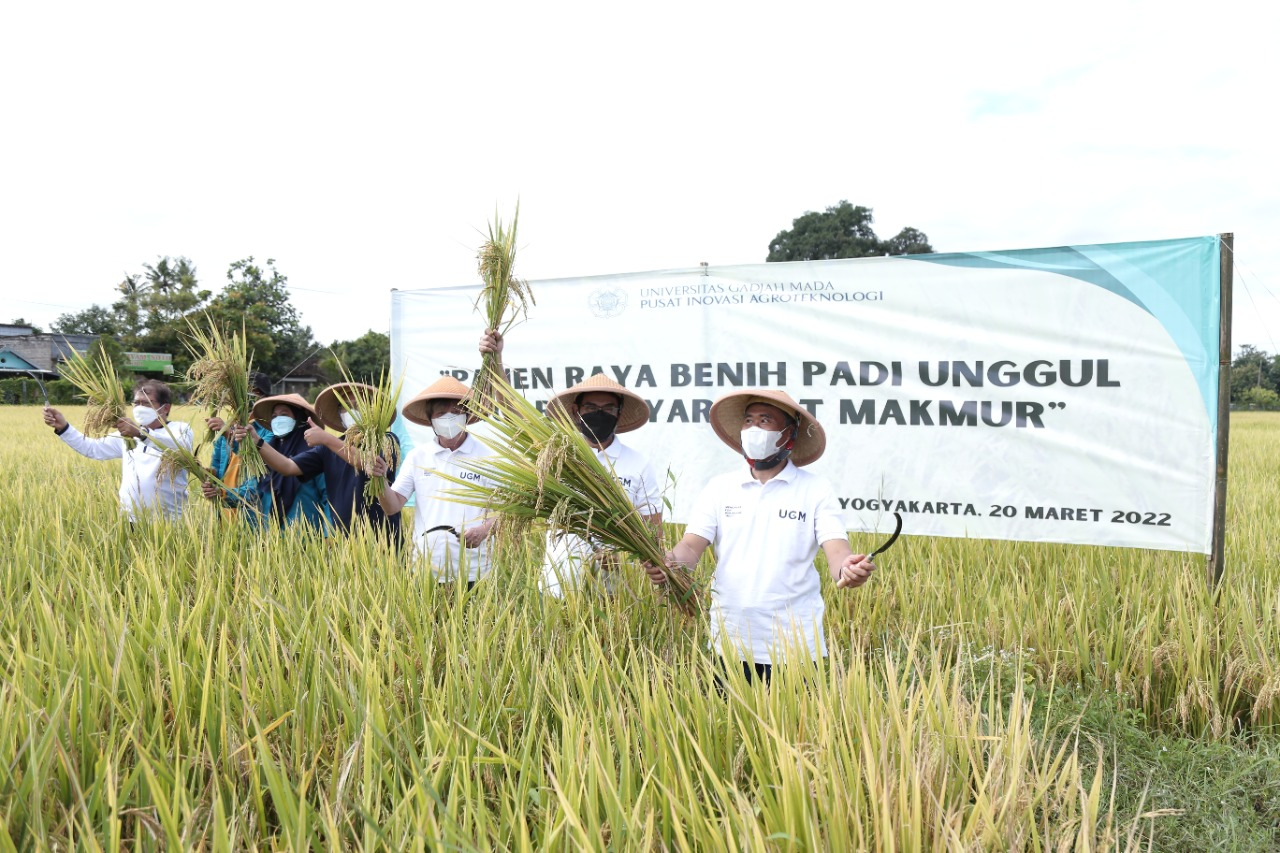 Ugm Kembangkan Padi Amphibi Gamagora Yogya Gudegnet