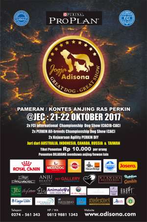 Pameran kontes anjing ras Perkin 'Jogja Adisona 2017'