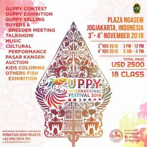 Guppy Fest 2018