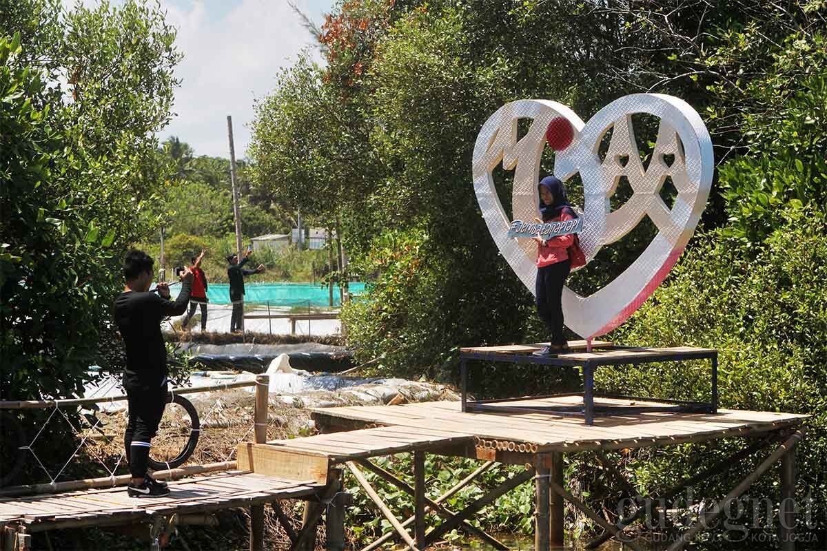 Hutan Mangrove Kulon Progo Yogya Gudegnet