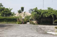 Bebek Tepi Sawah Restoran Cabang Ubud