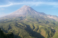 Alam Merapi Tour (Trekking Agro Volcano)