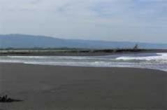 Pantai Samas Yogyakarta Yogya  GudegNet