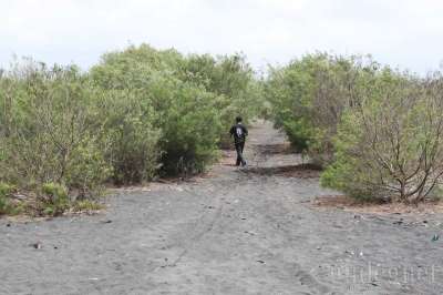 Menikmati Sepi di Pantai Bugel Yogyakarta