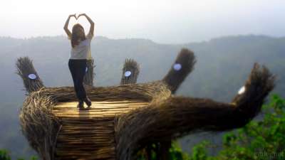 Hutan Pinus Pengger