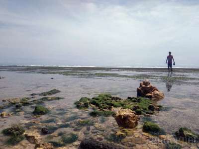 Pantai Sundak Yogyakarta