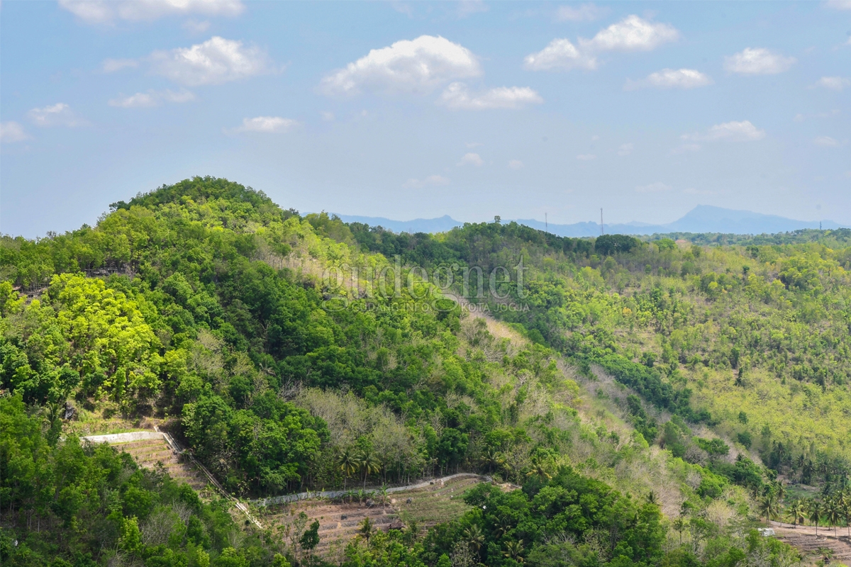 Pemandangan dari Tebing Watu Mabur (Trida-2020)