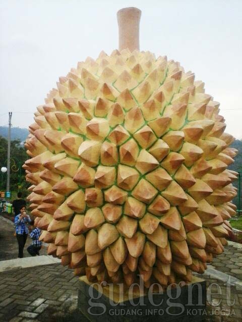 Download 99+ Gambar Durian Raksasa Terbaik 