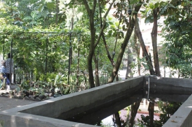 Kolam ikan sebagai tempat belajar budidaya lele