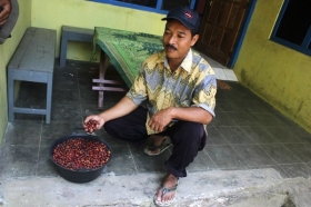 Hasil Kopi Perkebunan Rohmat