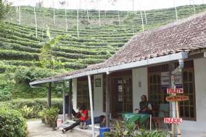 Lokasi peristirahatan yang terletak di bawah kebun teh