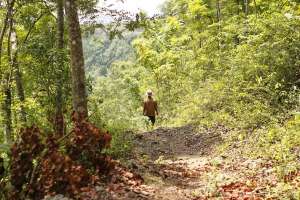 Penduduk desa yang mencari pakan ternak di sekitar lokasi goa