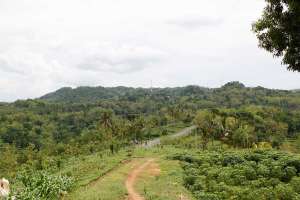 Pemandangan dari atas bukit menuju goa Nagasari 