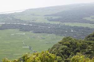 Dari ketinggian di atas 500 meter dpl menikmati hamparan sawah