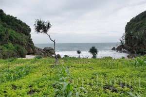 Pemandangan pantai Kayu Arum dari jauh