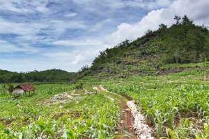 Lokasi pantai Kayu Arum ada di balik bukit