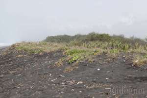 Pasir Hitam Khas pantai-pantai di sekitar wilayah Kulon Progo