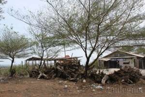 Rumah-rumah di pantai Pandansimo, Yogyakarta 