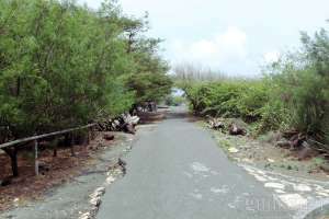 Akses jalan menuju pantai Trisik, Yogyakarta