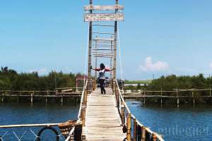 Jembatan Api-api merupakan jembatan bambu yang panjang dan menghubungkan dengan spot foto lainnya