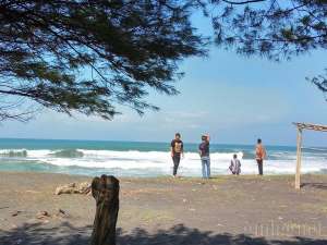 pemandangan di pantai congot