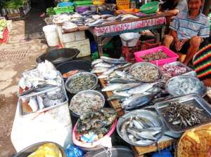 Anda dapat membeli ikan segar di Pasar Stan.