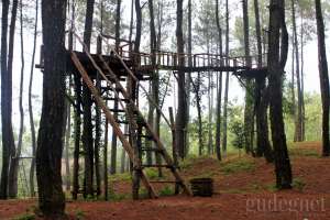 Lokasi spot foto yang hits di Hutan Pinus Pengger