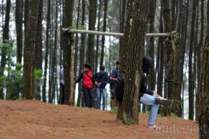 Pengunjung menikmati suasana di Hutan Pinus Pengger