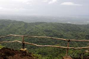 View dari pinggir tebing di Hutan Pinus Pengger