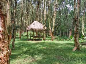 Gazebo tempat beristirahat di Bukit Lintang Sewu