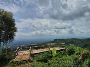 Spot foto gardu pandang bambu di sebelah timur 