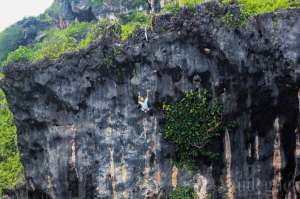 Tebing Siung sebagai sarana panjat tebing alam