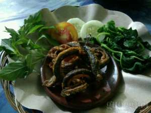 Belut goreng di warung Jago Wirosaban