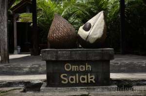 Wisata edukasi omah salak