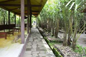 Wisata edukasi omah salak