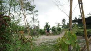 Jogja Exotarium