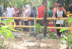 Taman Burung Raksasa di Gembiraloka