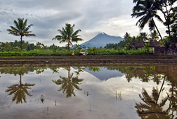 Lagi, Sleman Laksanakan Pelangi Budaya Bumi Merapi Lagi, Sleman Laksanakan Pelangi Budaya Bumi Merapi