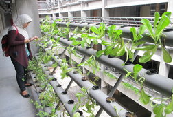 Eco Green Living Jawaban Hunian Masa Kini