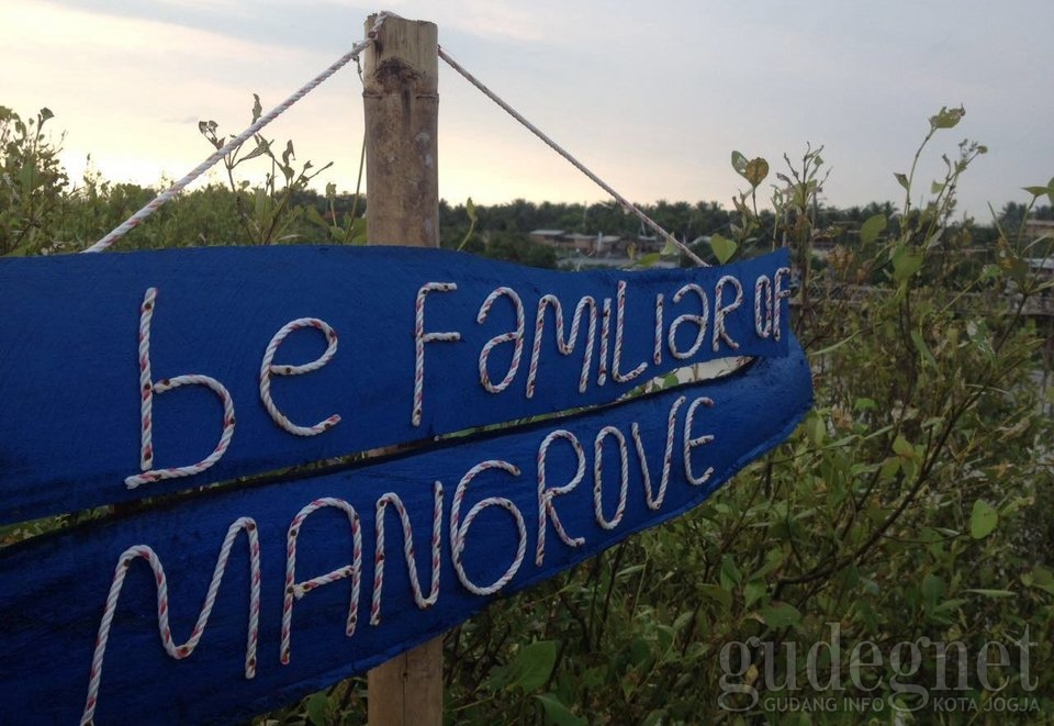 Libur 17 Agustus, Pilih Hutan Mangrove Ini
