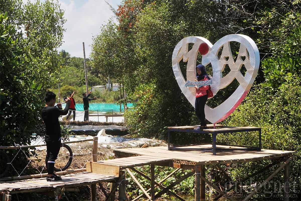 Pengelola Hutan Mangrove Sedot Ribuan Pengunjung Lewat Sosial Media