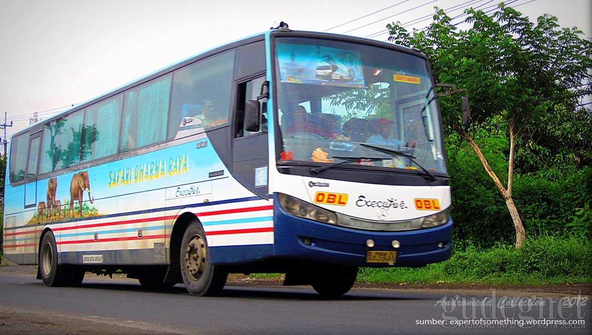 Jelang Idul Adha PO Safari Dharma Raya Tambah Armada