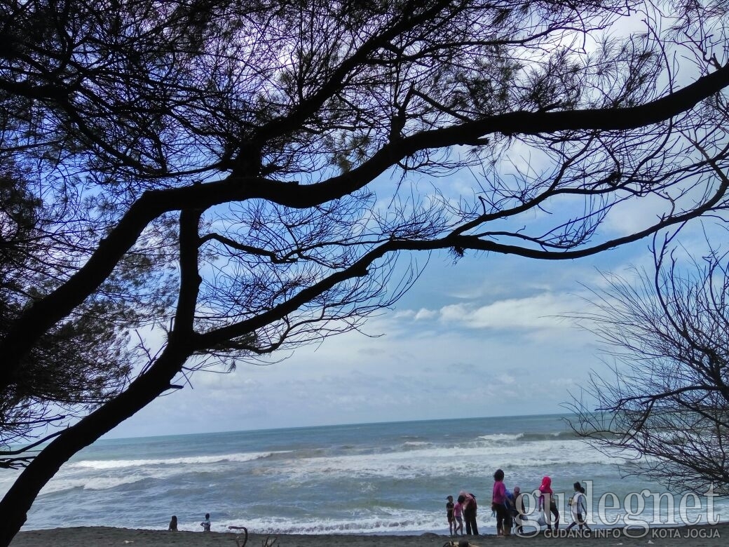 Liburan Ke Jogja? 5 Pantai di Bantul Ini Jangan Sampai Terlewatkan