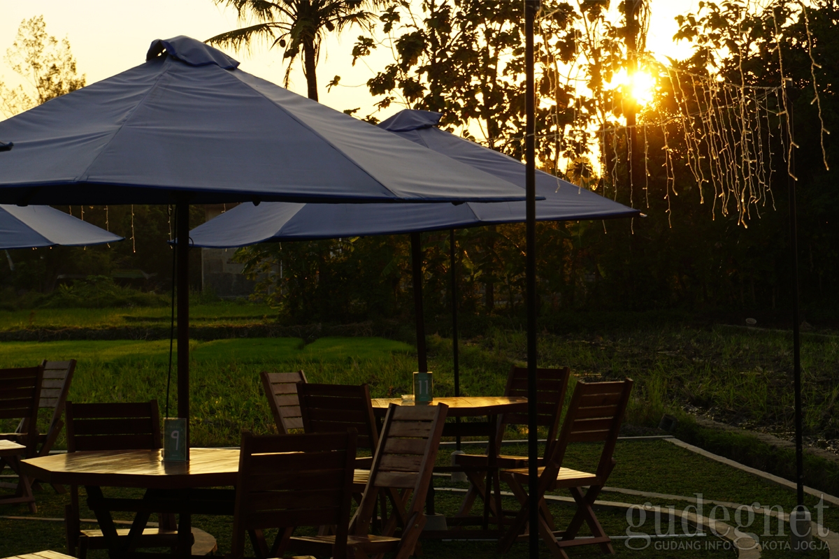 Menikmati Sunset dan Sawah di Kunvenu 