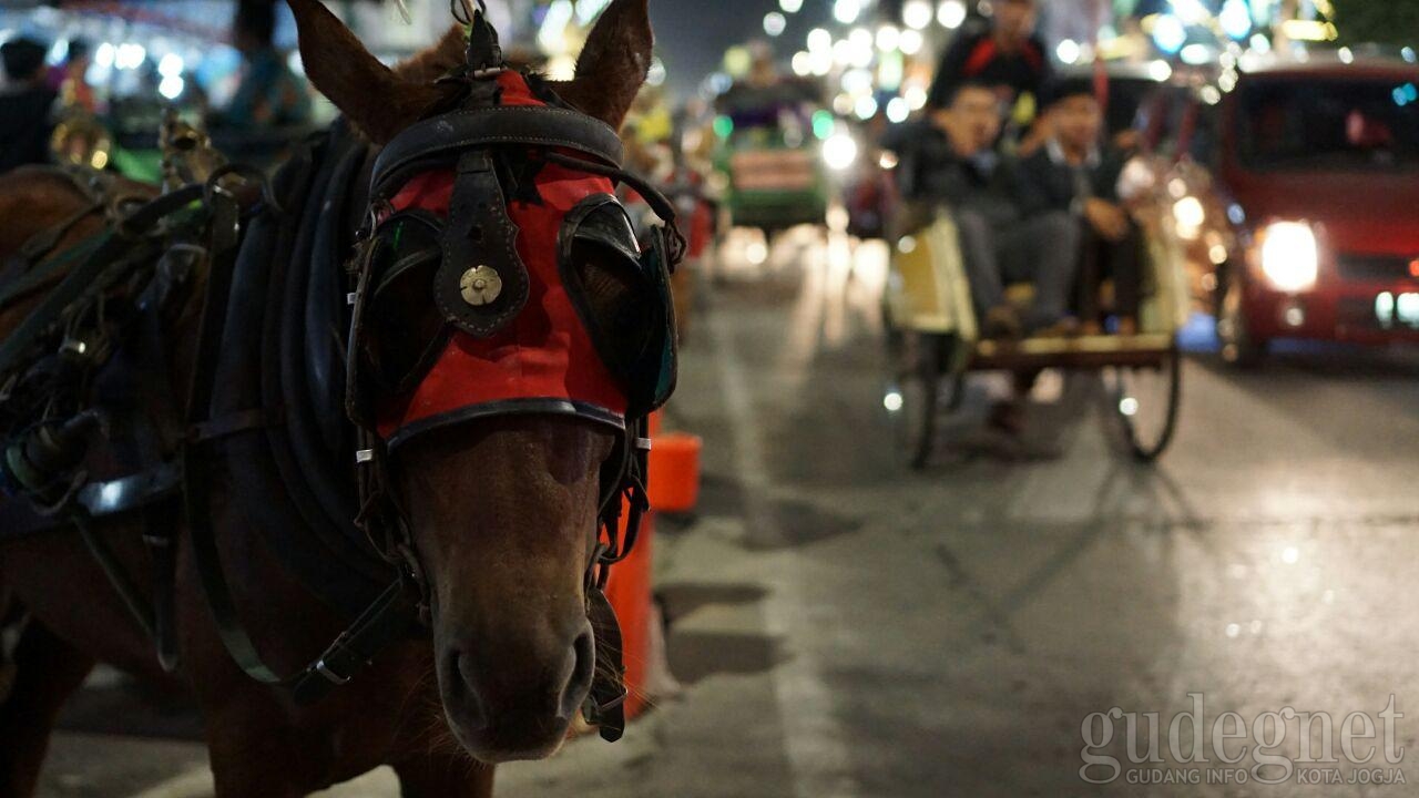 Nasib Andong dan Becak Saat Lalin Malioboro Dirombak