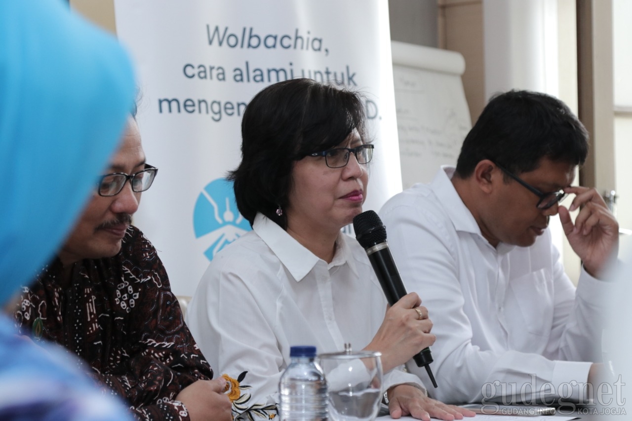 Wolbachia Diharapkan Tekan Sebaran Virus Dengue di Yogya