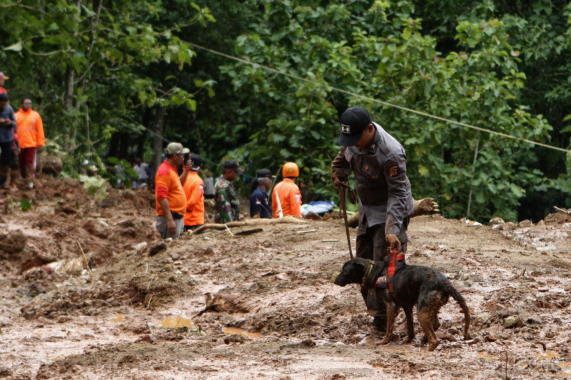 Unit K9 Polda DIY Diturunkan Bantu Evakuasi Longsor Imogiri