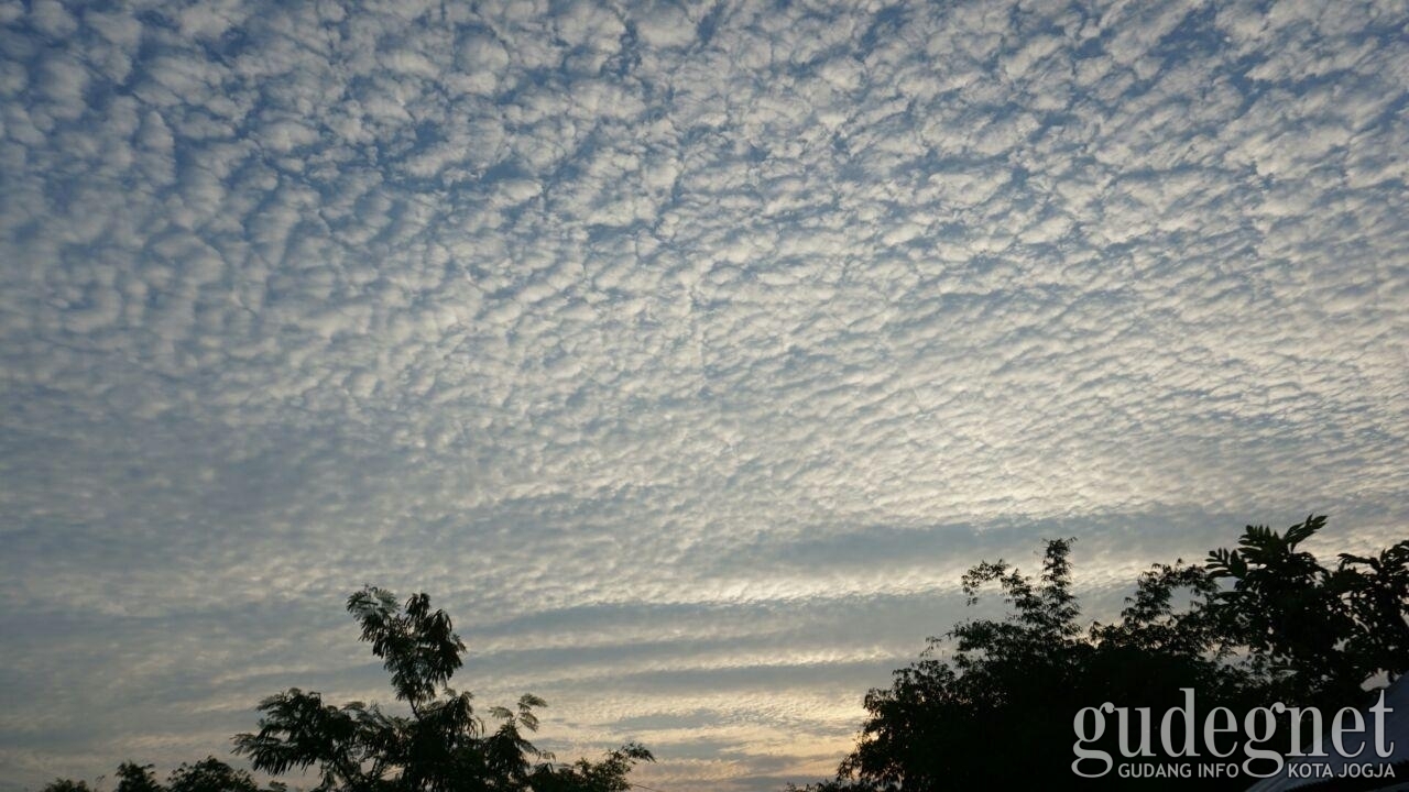 Cuaca Hari Ini Cerah Berawan Hingga Hujan Ringan