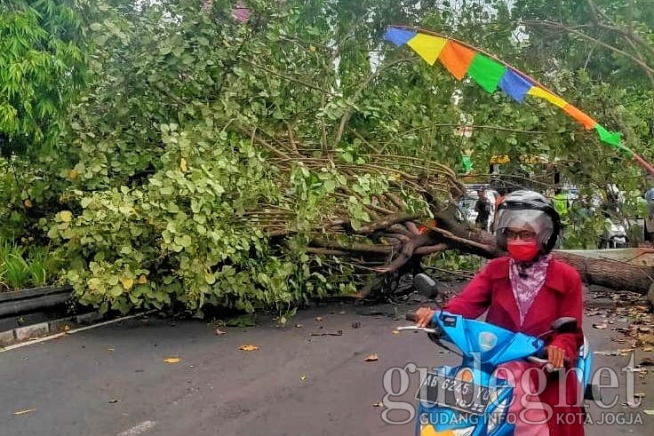 Hujan Lebat Disertai Angin Kencang di DIY Akibatkan Sejumlah Kerusakan