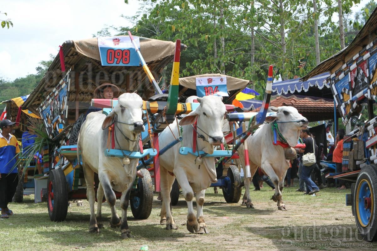 Festival Gerobak Sapi: Ketika Para Bajingan Berkumpul